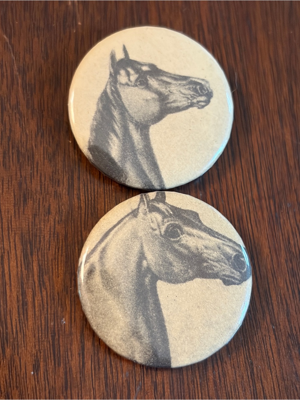 2 Horse Head Motif Buttons Badges Pins Brooches Equestrian Animal Jewelry